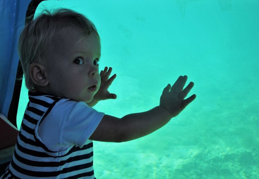 Chania: Semi-Submarine Boat Underwater Experience - Key points to know before boarding