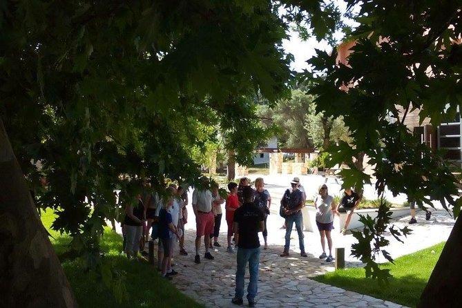 Chania Shore Excursion Off Road Vineyard and Winery Tour Half Day - Reaching the Manousakis vineyards at 660 meters