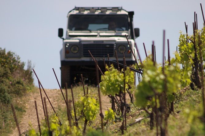 Chania Shore Excursion Off Road Vineyard and Winery Tour Half Day - What the five-wine tasting adds
