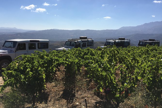 Chania Shore Excursion Off Road Vineyard and Winery Tour Half Day - Guide quality can shape the day