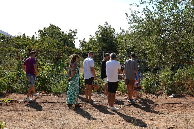 Chania Sourdough Bread Class - Olive Oil Tasting - Shaping a loaf with olives, seeds, or sun-dried tomatoes