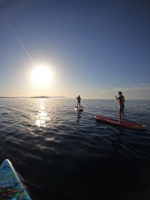 Chania: Stand-up Paddleboard Coastal Sunset Experience - Key points at a glance