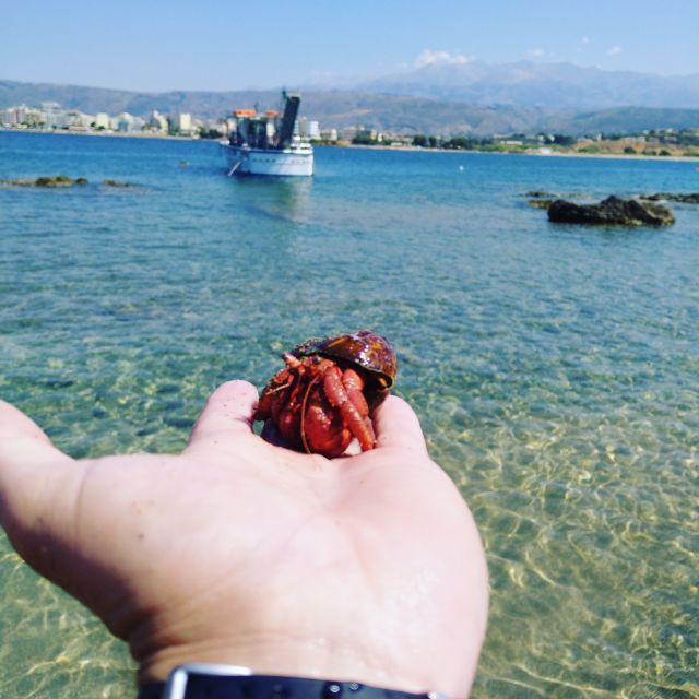 Chania Town: Glass-Bottom Boat Cruise to Thodorou & Lazareta - What the glass bottom can and cannot show