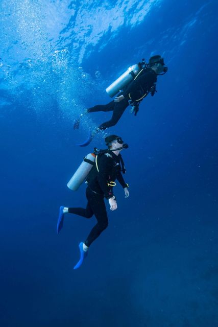Chania:Try Scuba Diving 2shore dives(Receive Certification) - What this Chania scuba experience actually offers