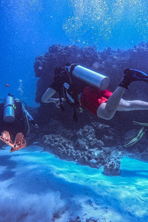 Chania:Try Scuba Diving 2shore dives(Receive Certification) - The first shore session, about 45 minutes in the water