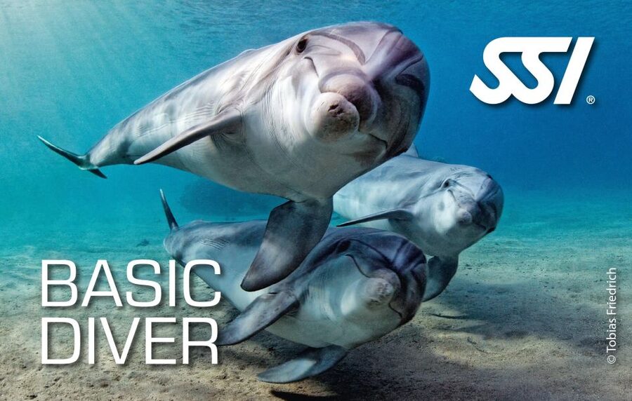 Chania:Try Scuba Diving 2shore dives(Receive Certification) - The break and the second descent to 12 meters