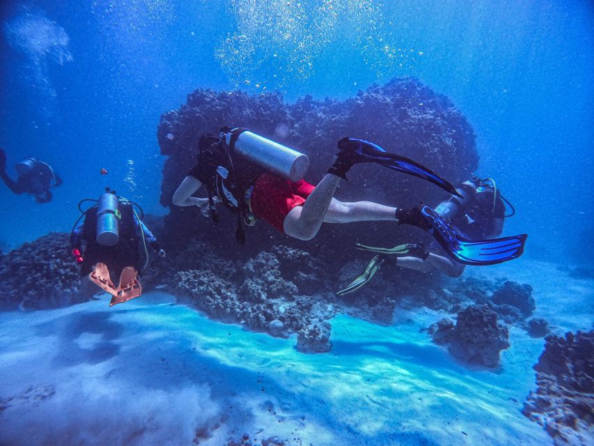 Chania:Try Scuba Diving 2shore dives(Receive Certification) - Pickup from Chania, Souda, and the coast