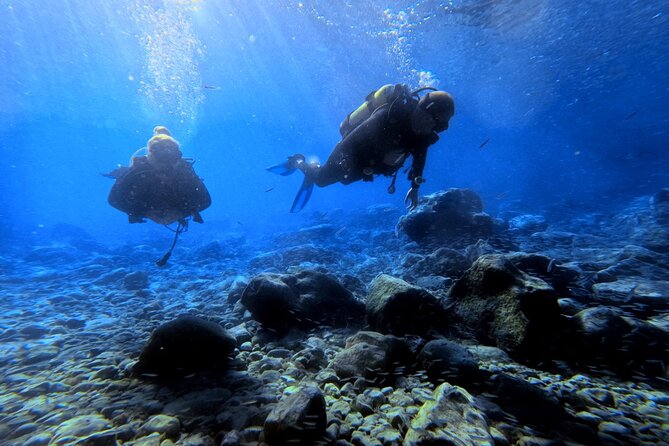 Chania | Try Scuba Diving | Introduction Dive - Meeting Crete’s smaller sea creatures