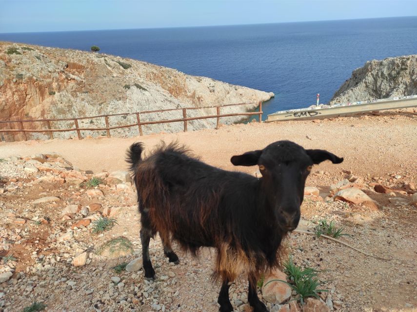 Chania Villages Private Tour: Explore the Authentic Crete! - Through the gorge toward Therisso