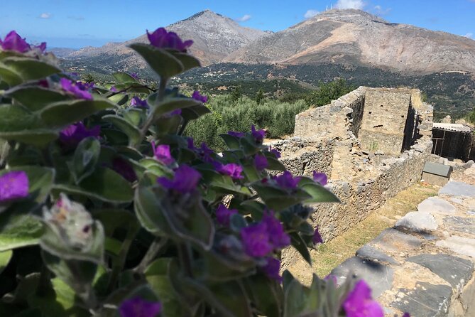 Chania White Mountains Private Tour: From Sea to Summit - Key points at a glance