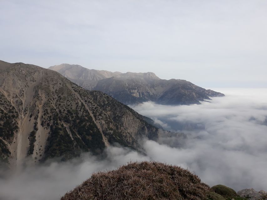 Chania: White Mountains Safari Tour with Lunch and Tastings - Key points to know before you book