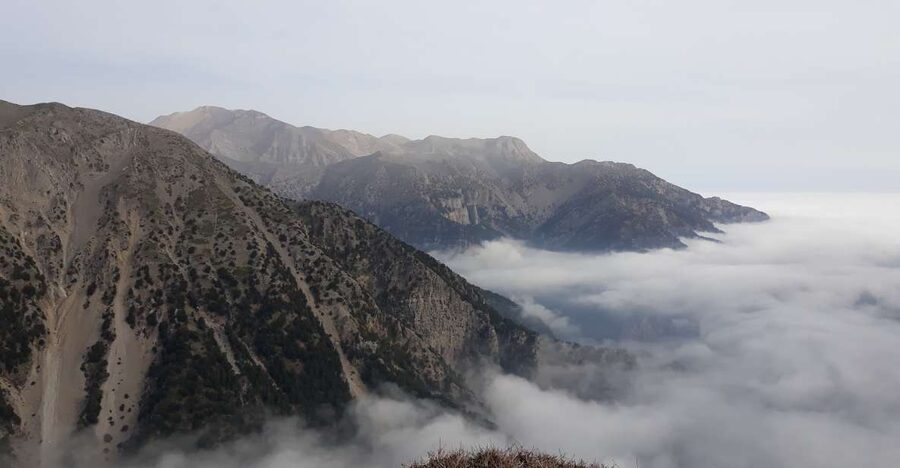 Chania: White Mountains Safari Tour with Lunch and Tastings - Ano Vouves and Crete’s ancient olive tradition