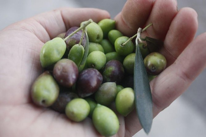 Cook with Locals | Cretan cooking Class at Archanes Village - Starting in Ano Archanes, Crete