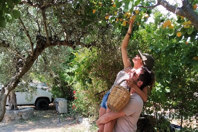 Cooking Lesson in Heraclion - Picking vegetables and herbs from the orchard