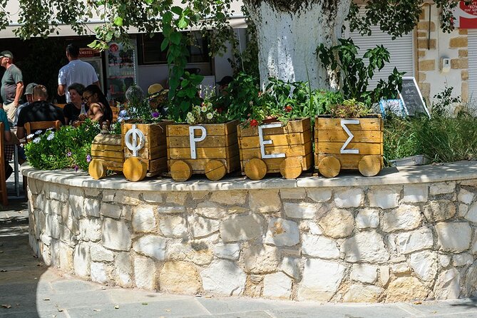 Cretan Delights - Wine, Olive Oil & Cooking Workshop from Chania - Who will enjoy this Apokoronas day most