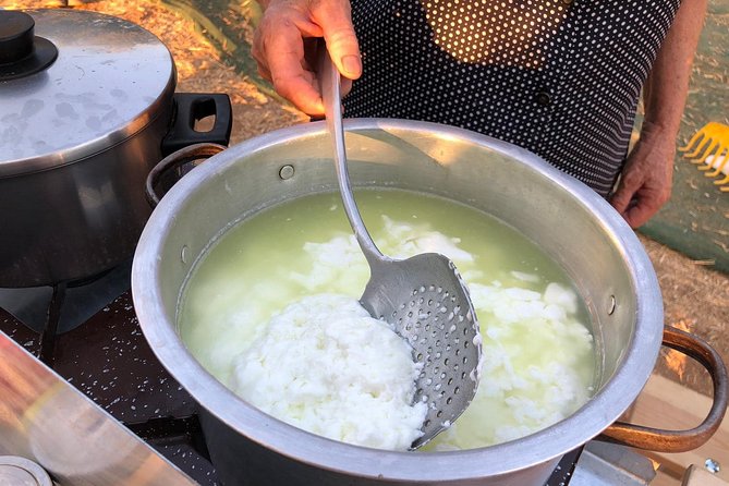 Cretan Farm Tour with Cheese-Making, Olive Oil Tasting & Picnic - Walking the olive groves and greenhouses