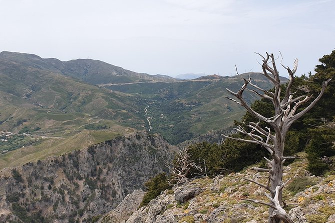 Cretan Safari – 4x4 Adventure to Preveli Beach with Lunch - The ride through Crete’s mountain country