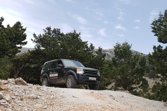 Cretan Safari – 4x4 Adventure to Preveli Beach with Lunch - Preveli Beach, palms, river, and sea