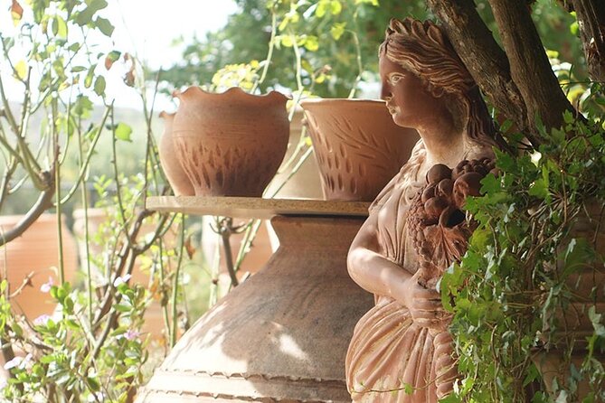 Cretan Wines & Olive oil tour - The treasures of Crete - Who will enjoy this day most
