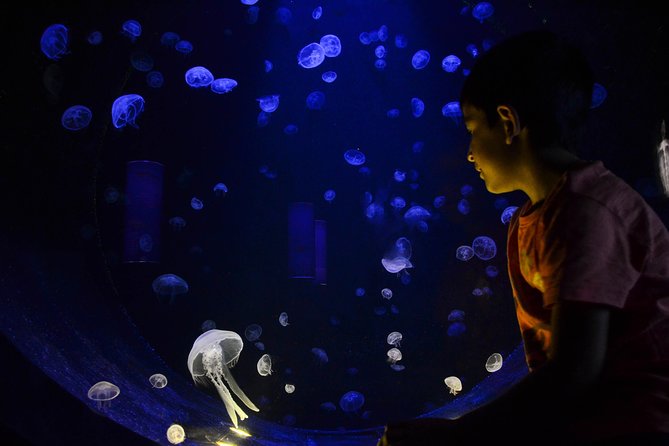 CRETAquarium Entrance Ticket in Crete - Is the $9.61 ticket good value?