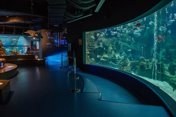 CRETAquarium Entrance Ticket in Crete - The practical arrival and entry details