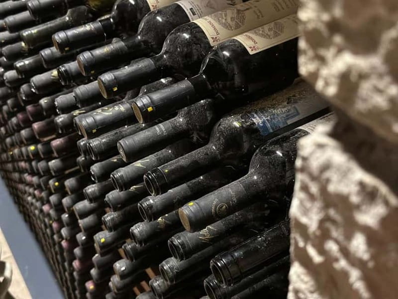 Crete: 2 Wineries Tour with Wine Tasting & Lunch - Who should book this experience?