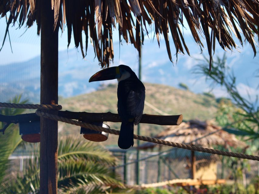 Crete: Agios Nikolaos, Kritsa and Amazonas Park Day Trip - Amazonas Park and Its Resident Animals