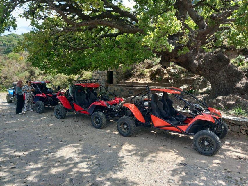 Crete buggy safari - Olive oil at Vasilakis Estate