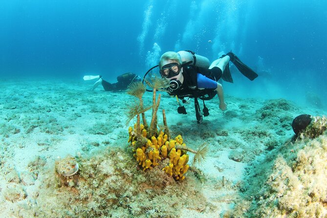 Crete-Chania: Snorkeling & Scuba Dive for Beginners by Boat - Blue Cave snorkeling for about an hour