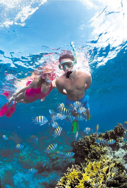 Crete: Coastline Snorkeling Cruise from Hersonissos Port - Saint George Beach and the 45-minute stop