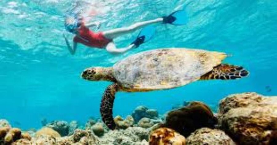 Crete: Coastline Snorkeling Cruise from Hersonissos Port - Snorkeling gear, inflatables, and what to expect