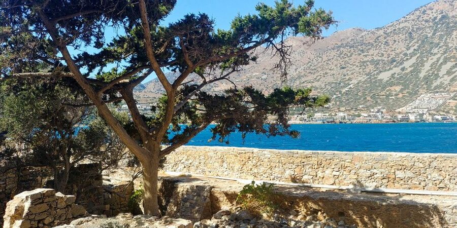 Crete: Day Trip to Agios Nikolaos and Spinalonga Island - The cruise to Spinalonga is part of the experience