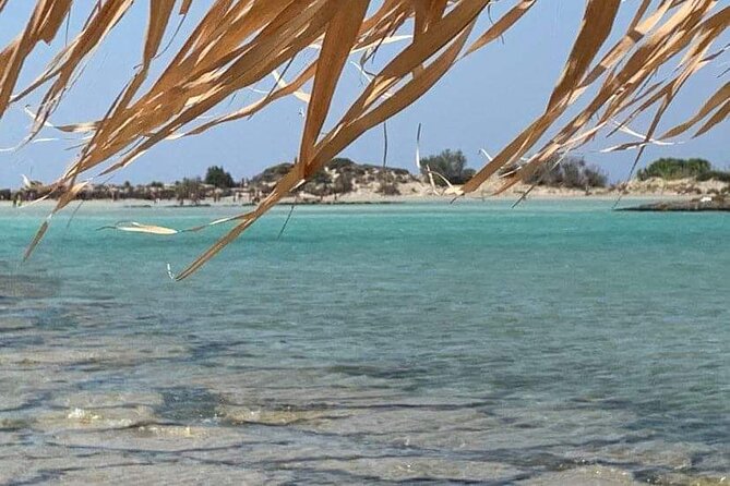 Crete: Elafonisi – 4 hours in the beach - Key Points Before You Book