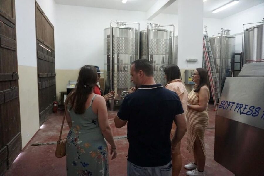 Crete: Full-Day Cretan Wines, Olive Oil, Raki and Food Tour - The raki distillery and the old wine press