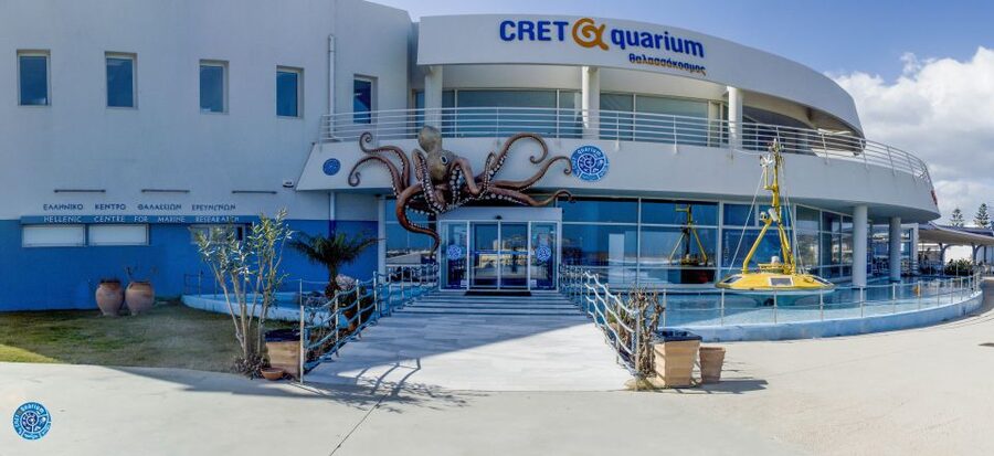Crete: Heraklion Center, Local Market and Creta Aquarium - Cretaquarium in 80 minutes