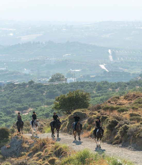 Crete Horse Riding: Cretan Countryside Ride - Riding beneath Crete’s old olive trees