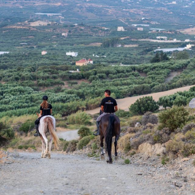 Crete Horse Riding: Cretan Countryside Ride - Who should book this ride?