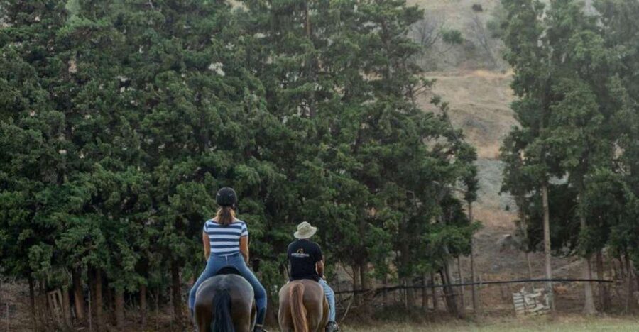 Crete Horse Riding: Cretan Countryside Ride - Should you book the Cretan Countryside Ride?