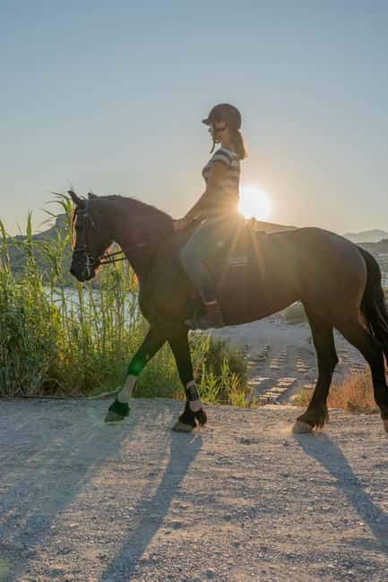 Crete Horse Riding: East Coastline Ride - Key points to know before booking