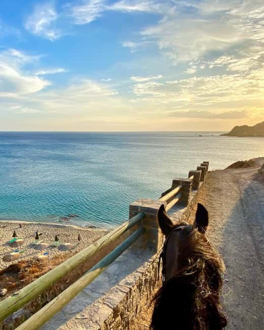 Crete Horse Riding: East Coastline Ride - From the Horse Riding Center into Crete’s olive groves