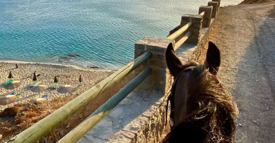 Crete Horse Riding: East Coastline Ride - Should you book Crete Horse Riding: East Coastline Ride?