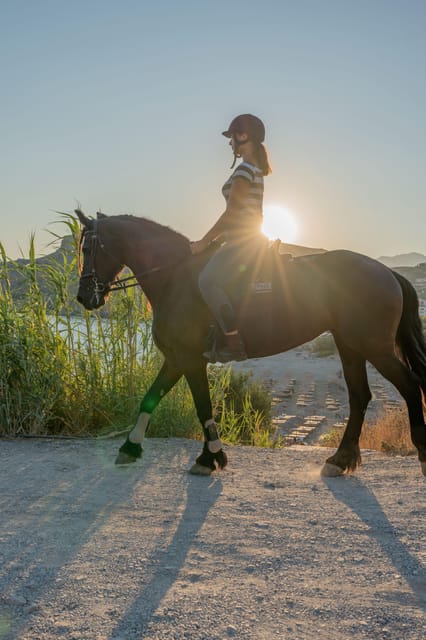 Crete Horse Riding: Mesmerising Sunset Ride - What walk-only really means