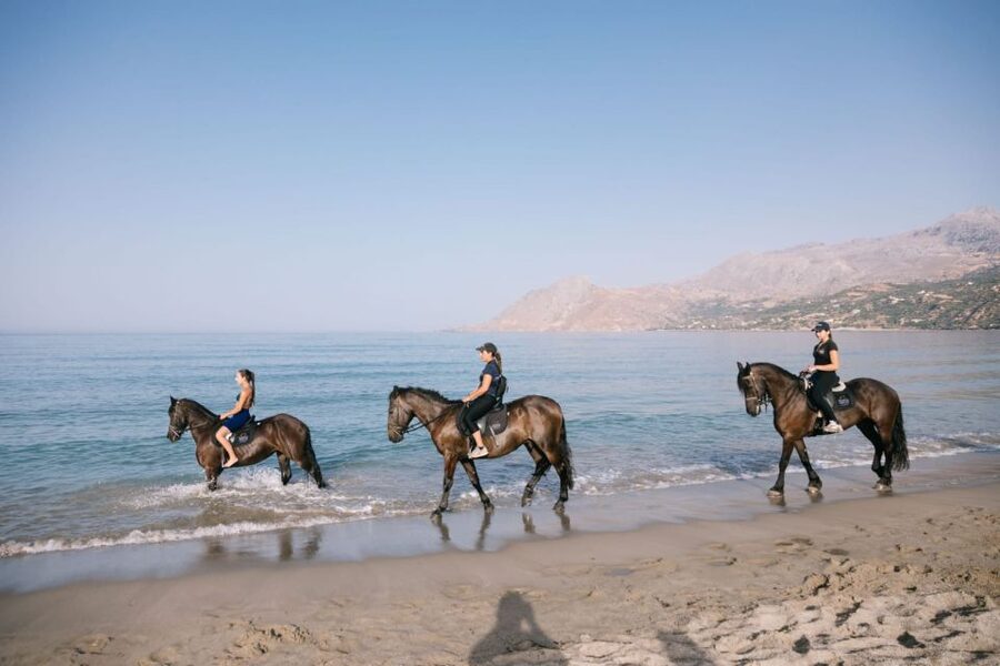 Crete Horse Riding: Plakias Beach Ride - Should you book the Plakias Beach Ride?