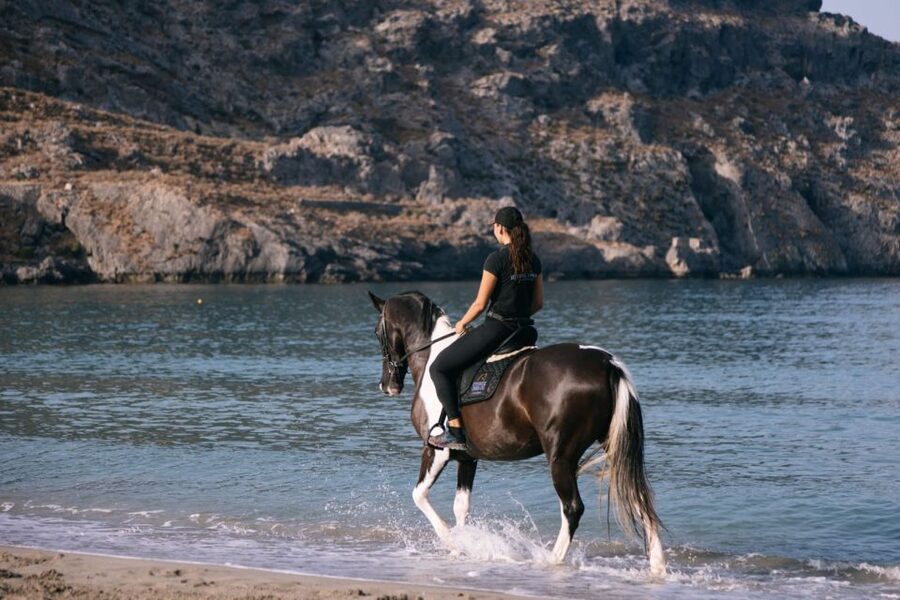 Crete Horse Riding: Plakias Beach Ride - Is $153 a fair price?