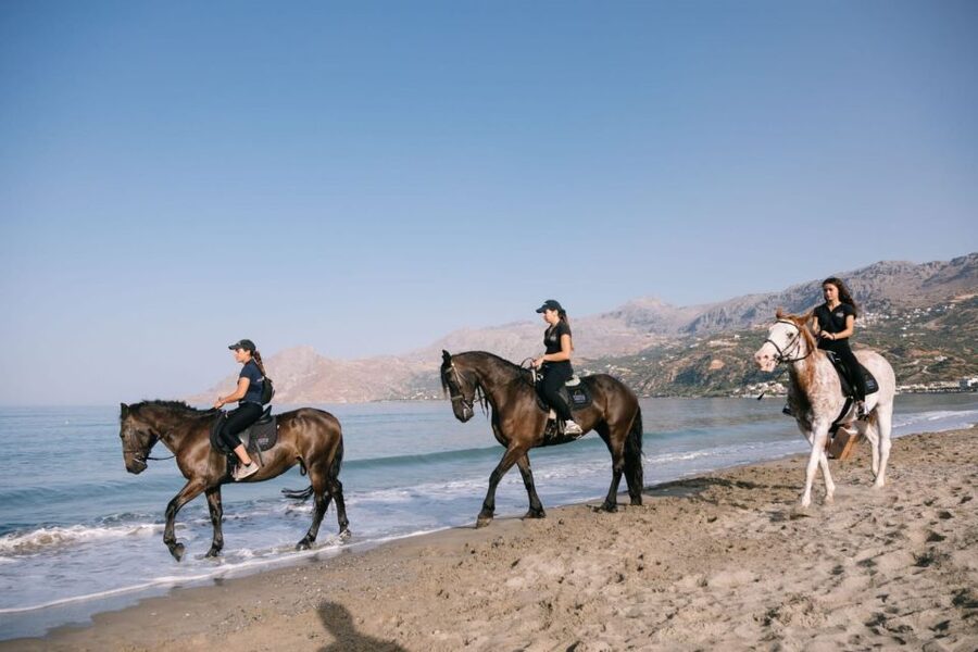 Crete Horse Riding: Plakias Beach Ride - Who will enjoy this most?