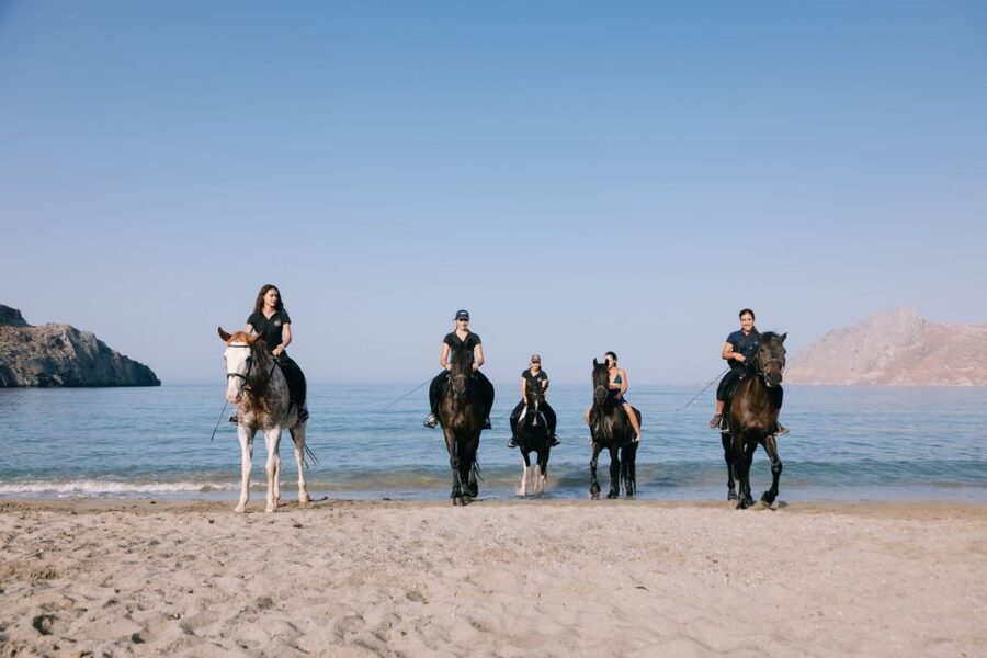 Crete Horse Riding: Plakias Beach Ride - Well-cared-for horses and a careful start