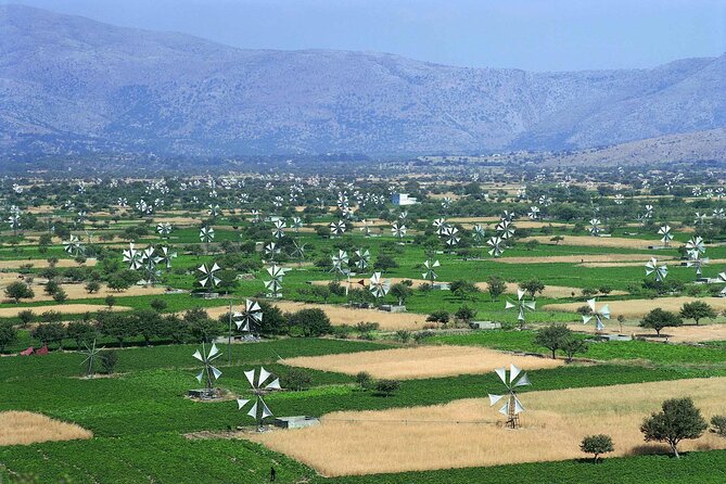 Crete in a Day: Knossos, Soap Workshops, Olive Oil & Wine Tasting - Who will enjoy this Crete day most?