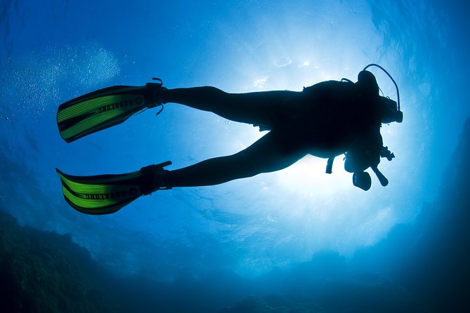 Crete Introductory Scuba Diving Experience - Instructors who help first-timers stay calm