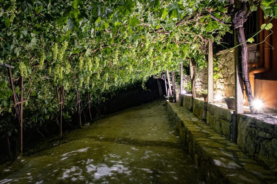 Crete: Jeep Safari Wine & Olive Oil testing Shepherd's House - Kato Karouzana, where the day finds its heart