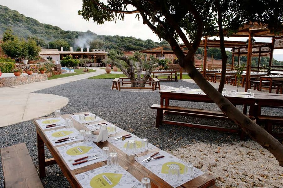 Crete: Knossos, Lasithi, Lasinthos and Olive Farm Combo Tour - What the $50.82 price really covers